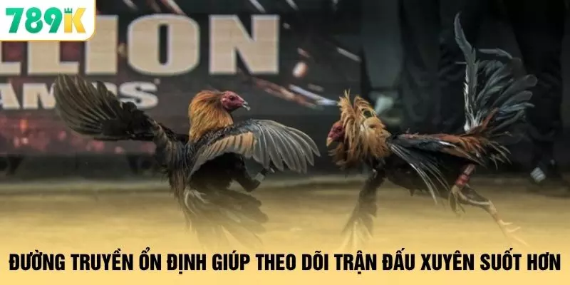 Đá Gà - 24 Giờ Tranh Tài Kịch Tính Tại Địa Chỉ 789K 3 Đường truyền ổn định giúp theo dõi trận đấu xuyên suốt hơn